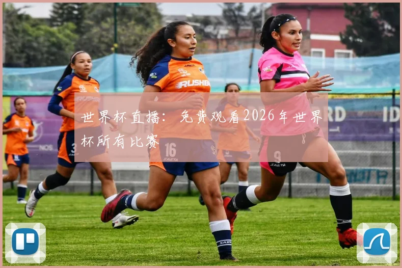 世界杯直播:免费观看2026年世界杯所有比赛