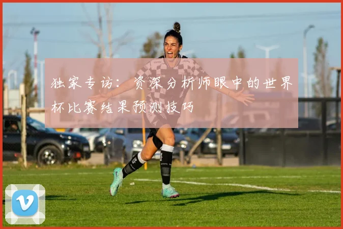 独家专访:资深分析师眼中的世界杯比赛结果预测技巧