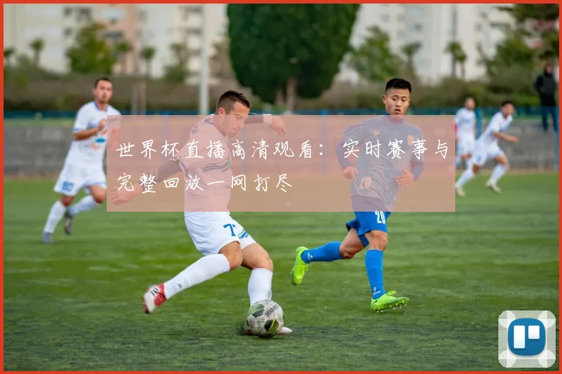 世界杯直播高清观看：实时赛事与完整回放一网打尽