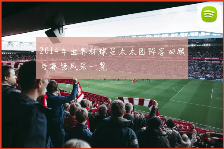 2014年世界杯球星太太团阵容回顾与赛场风采一览