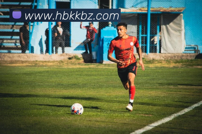 华体网首页官网品牌故事