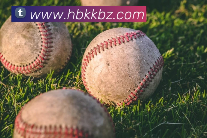 华体网首页官网服务体系